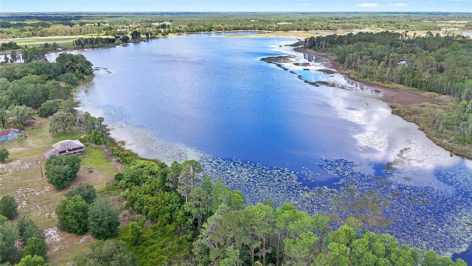 7907 FLORIDA BOYS RANCH RD, GROVELAND, FL, 34736