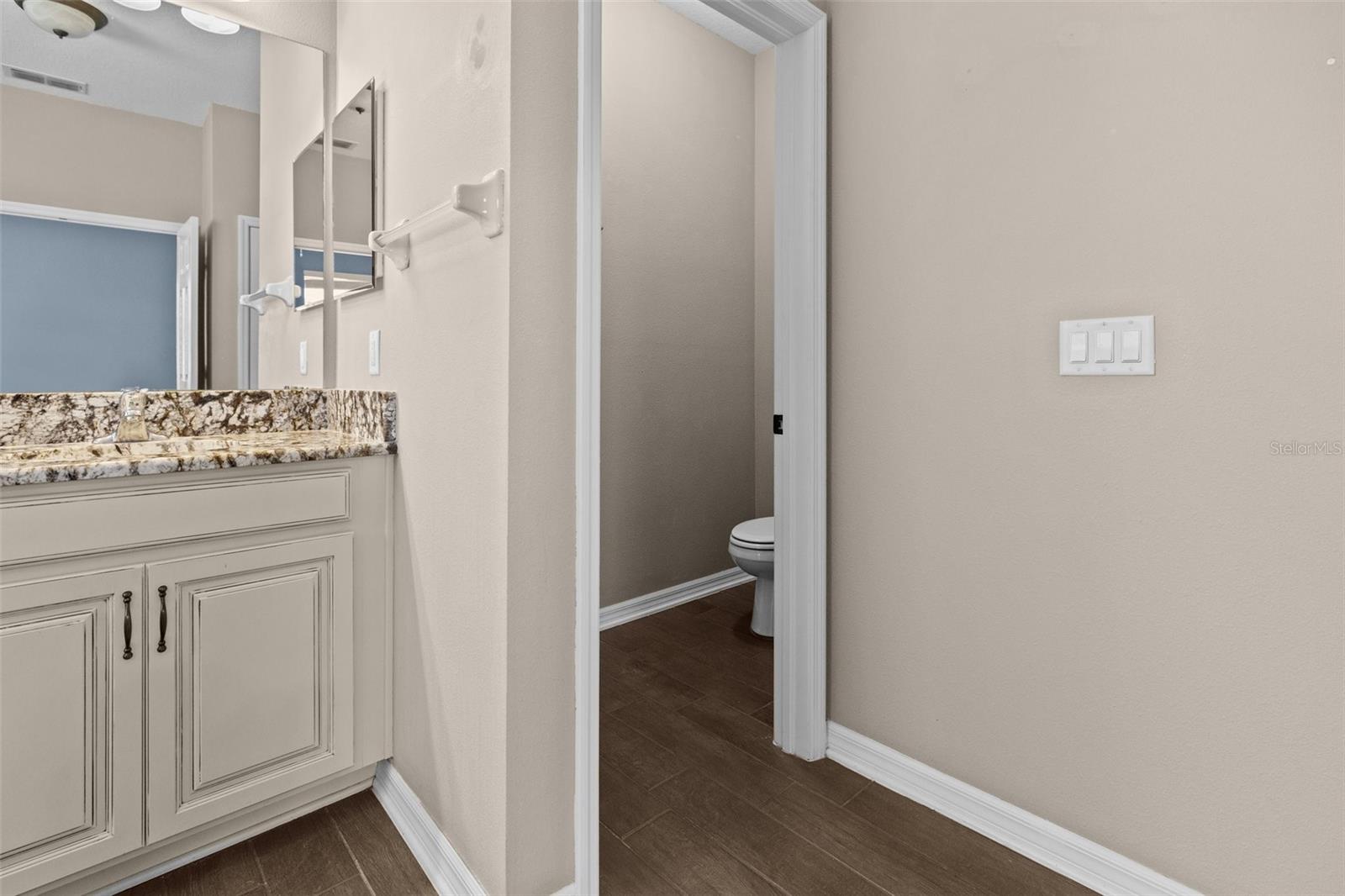 1099 MULTIFLORA LOOP, LUTZ, FL, 33558