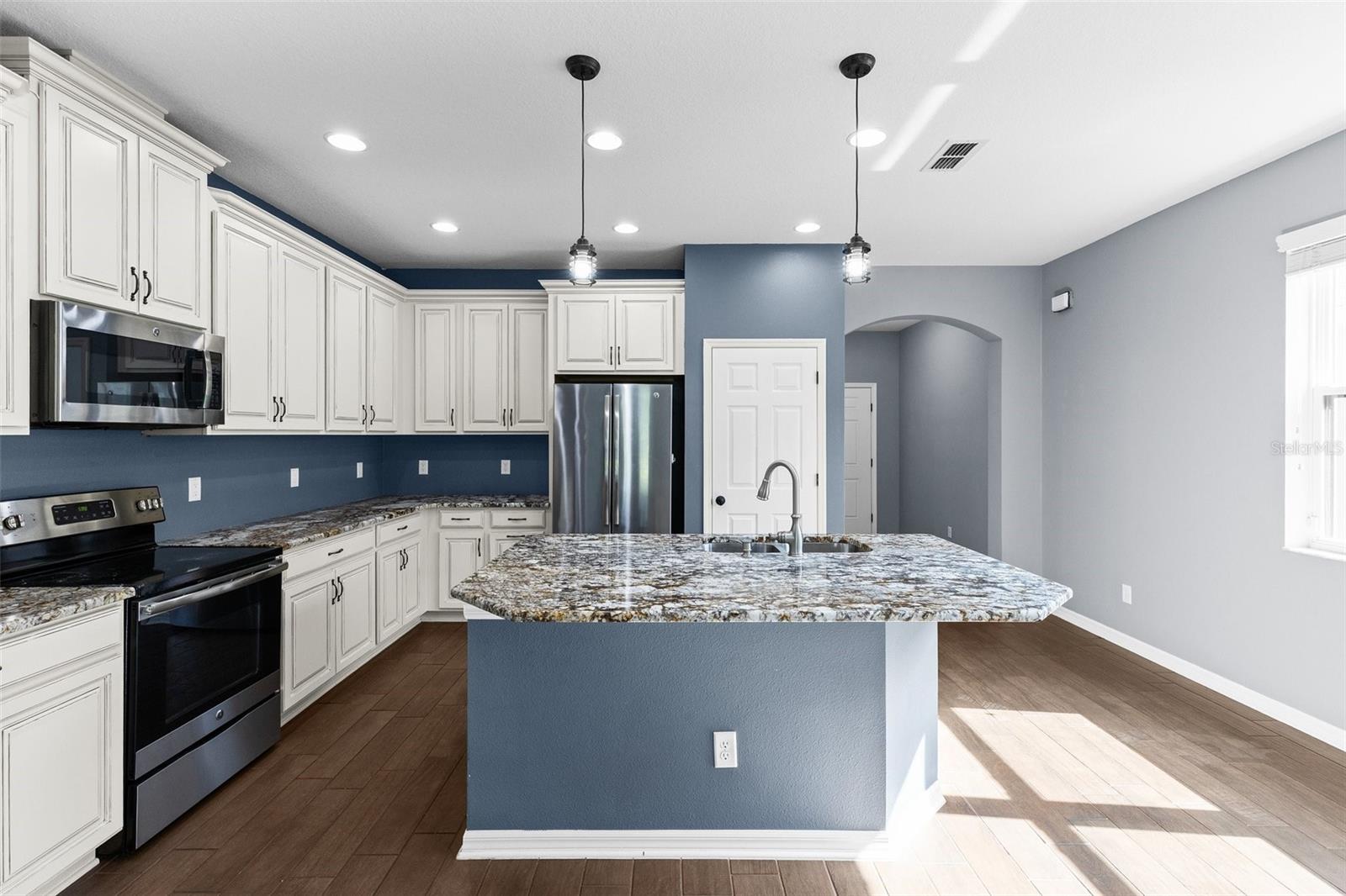 1099 MULTIFLORA LOOP, LUTZ, FL, 33558