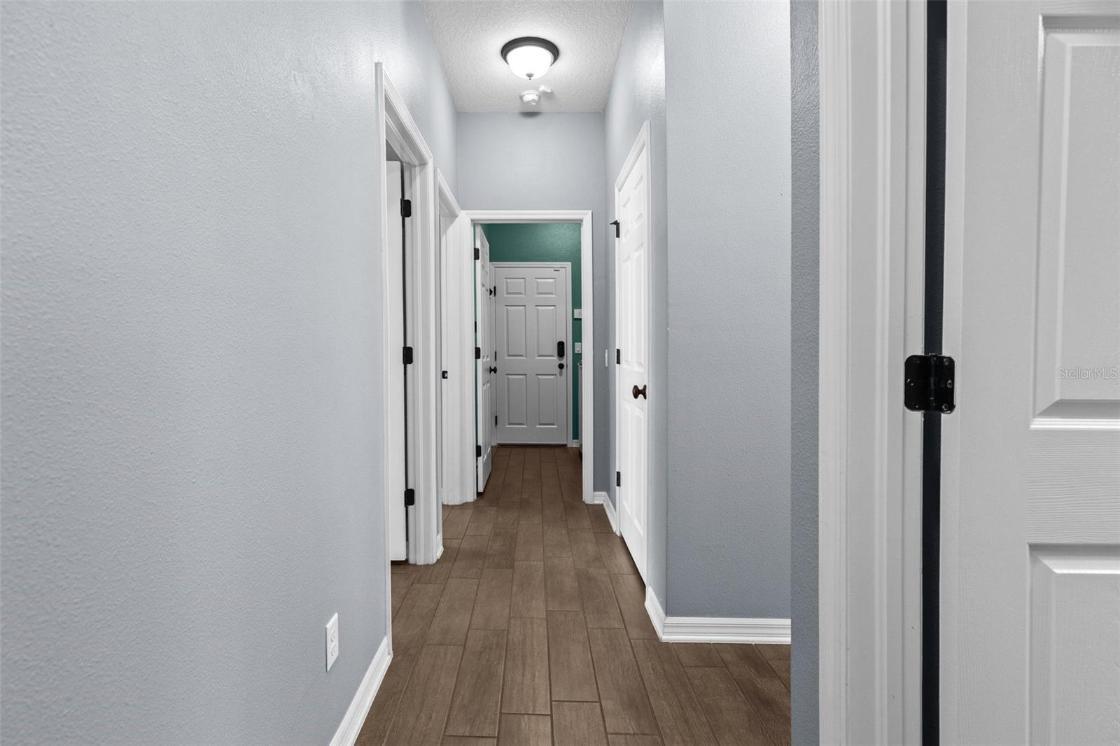 1099 MULTIFLORA LOOP, LUTZ, FL, 33558