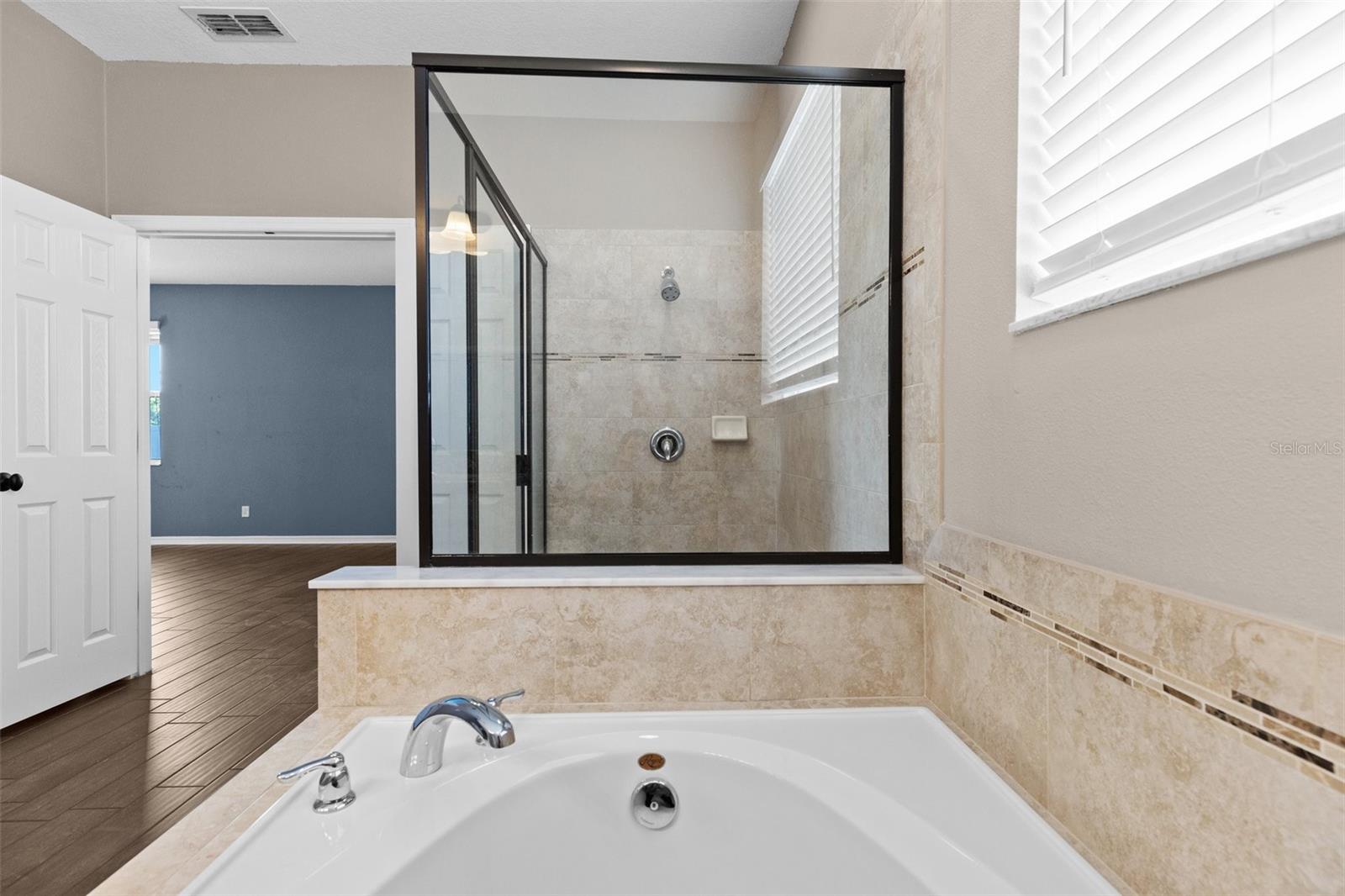 1099 MULTIFLORA LOOP, LUTZ, FL, 33558