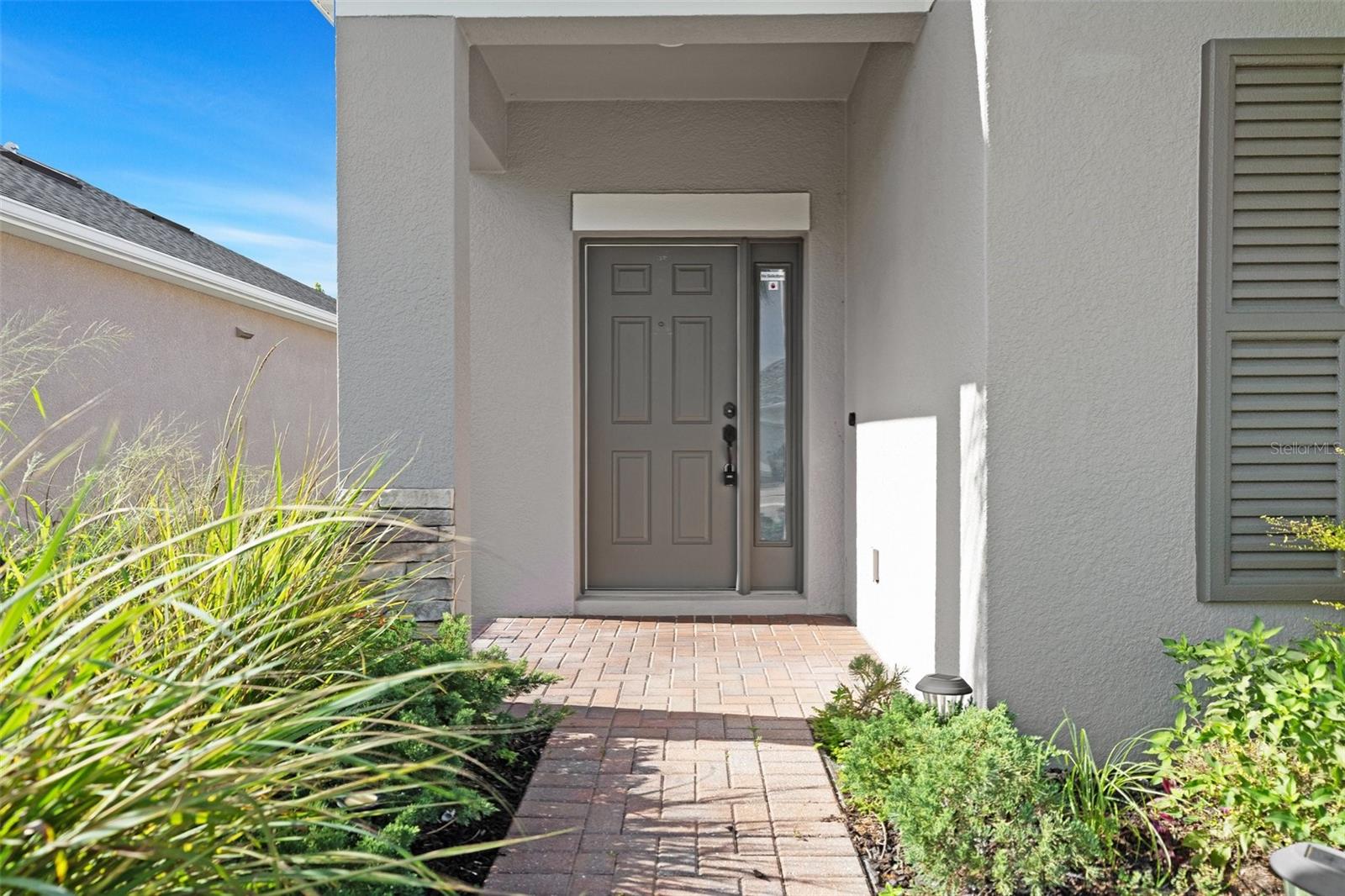 1099 MULTIFLORA LOOP, LUTZ, FL, 33558