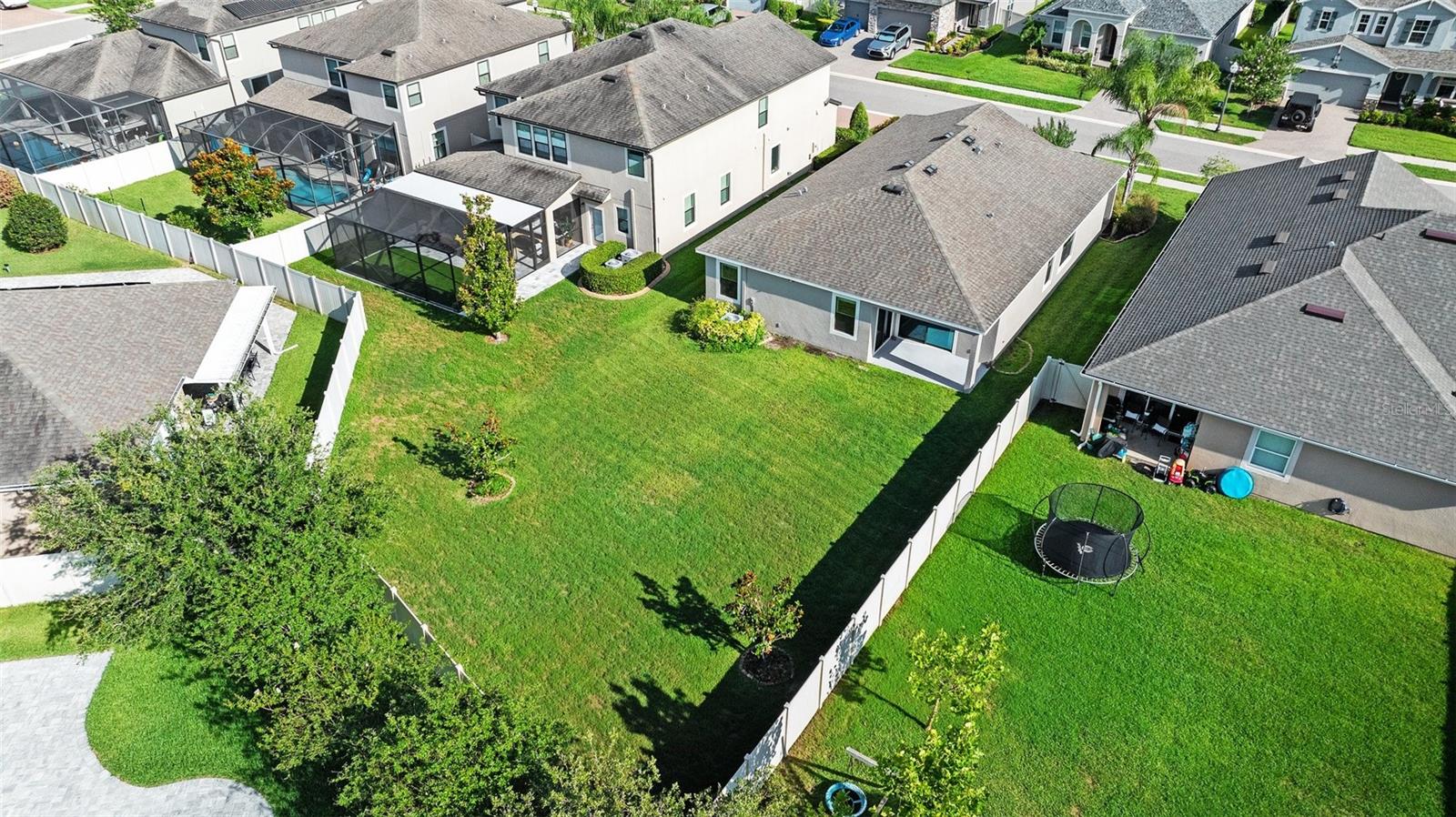 1099 MULTIFLORA LOOP, LUTZ, FL, 33558