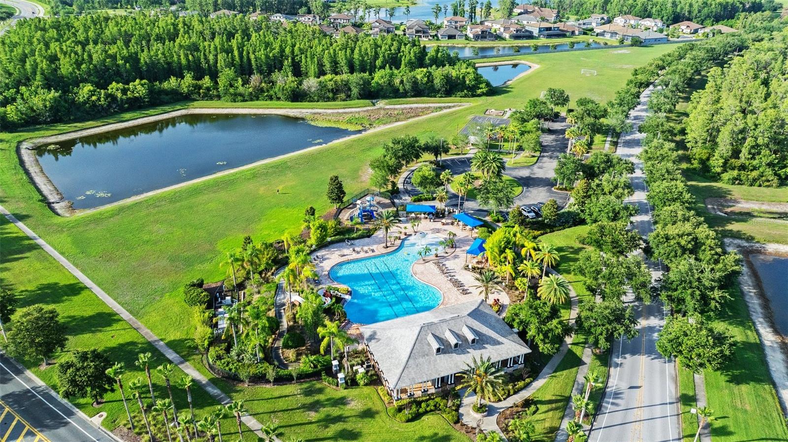 1099 MULTIFLORA LOOP, LUTZ, FL, 33558