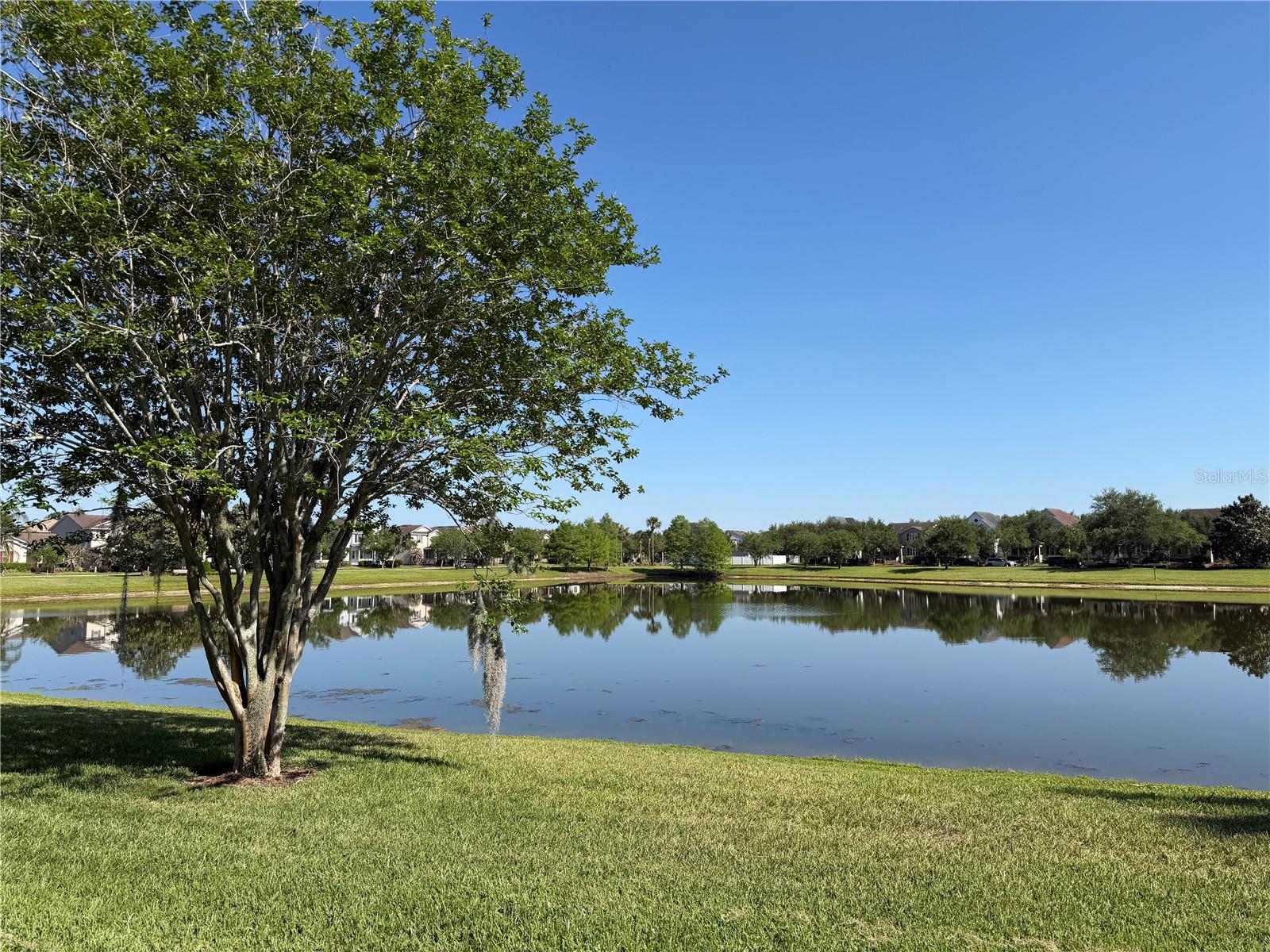 7808 WINTER WREN ST, WINTER GARDEN, FL, 34787