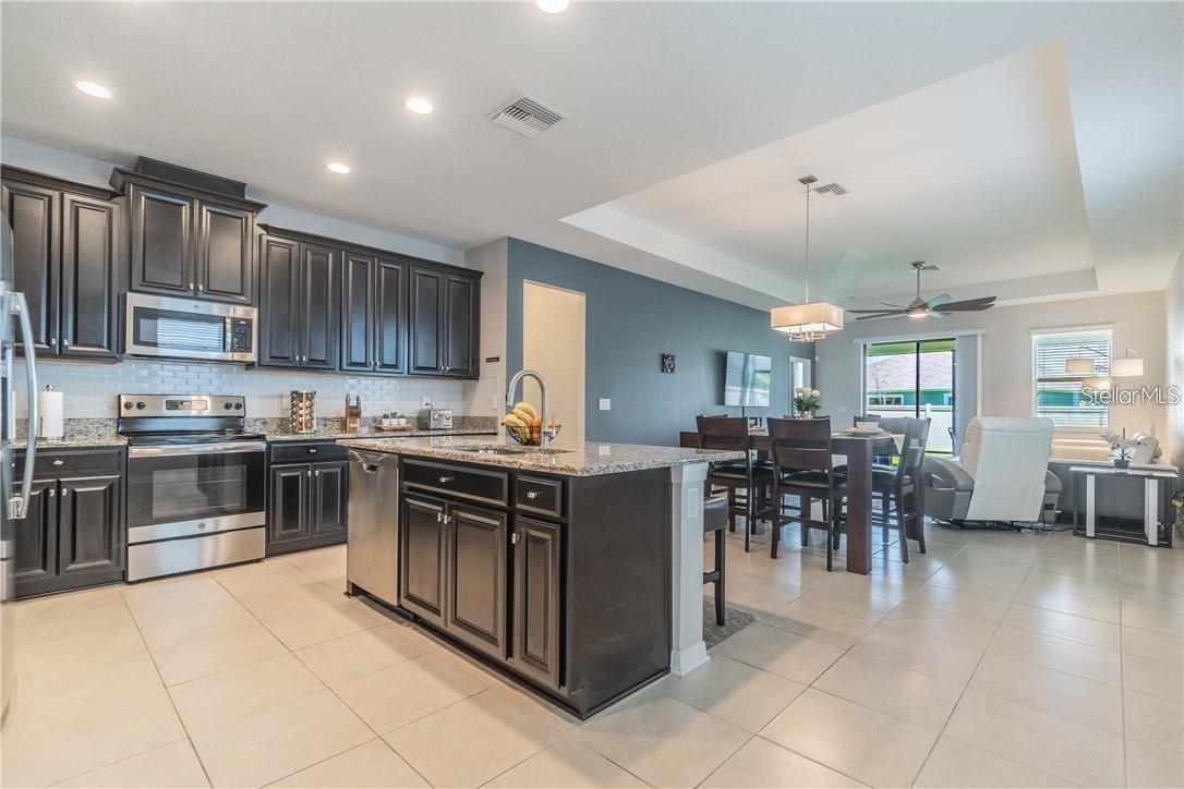 30927 PARROT REEF CT, WESLEY CHAPEL, FL, 33545