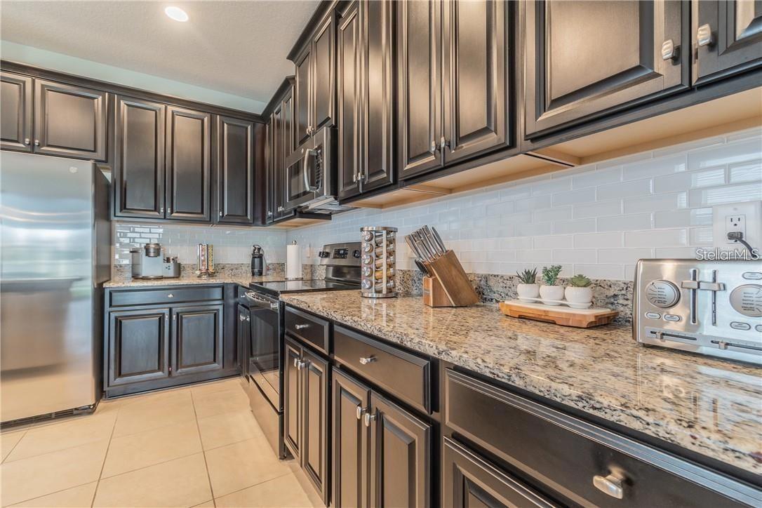 30927 PARROT REEF CT, WESLEY CHAPEL, FL, 33545