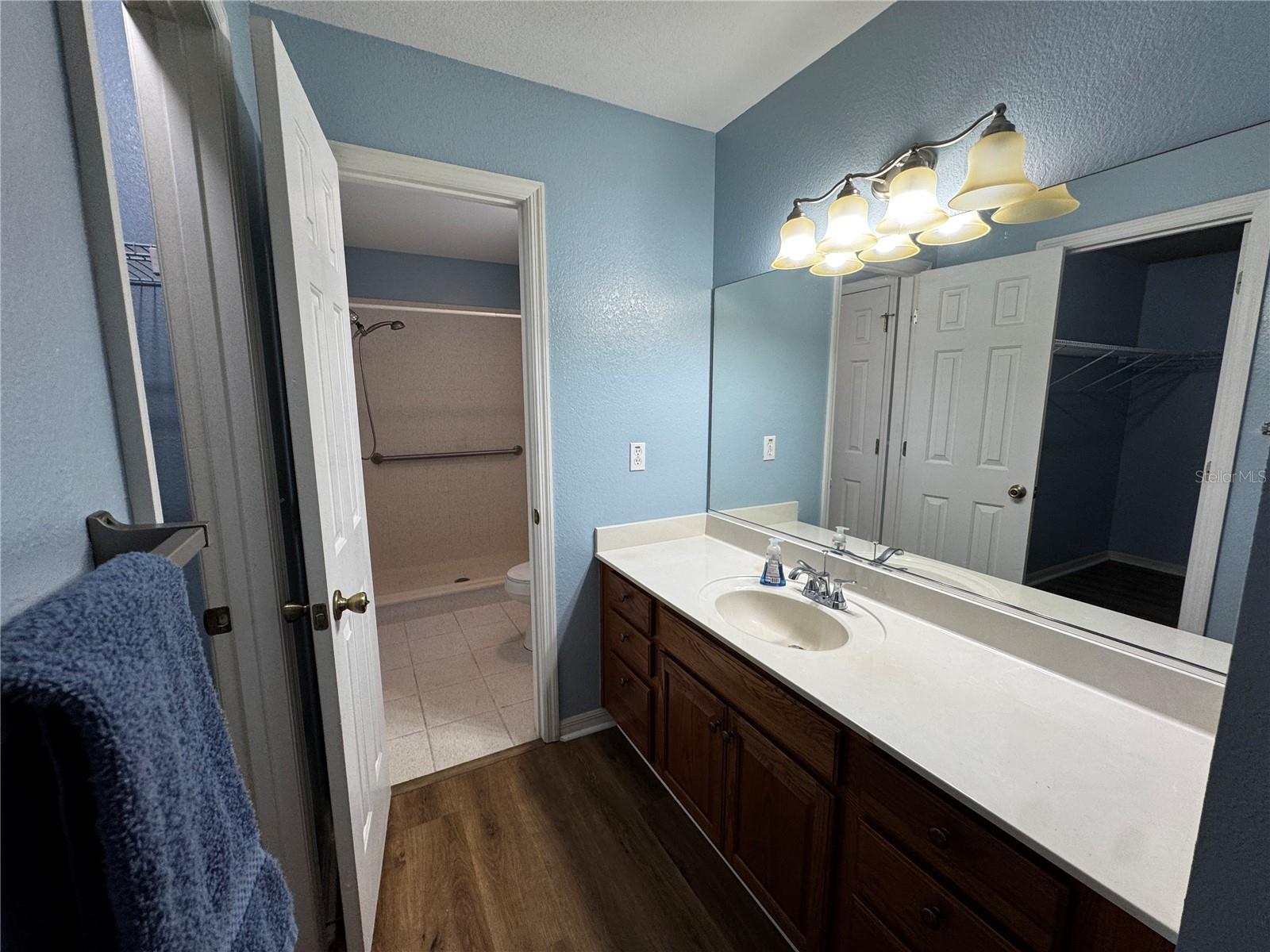 17522 SE 95TH CIR, SUMMERFIELD, FL, 34491