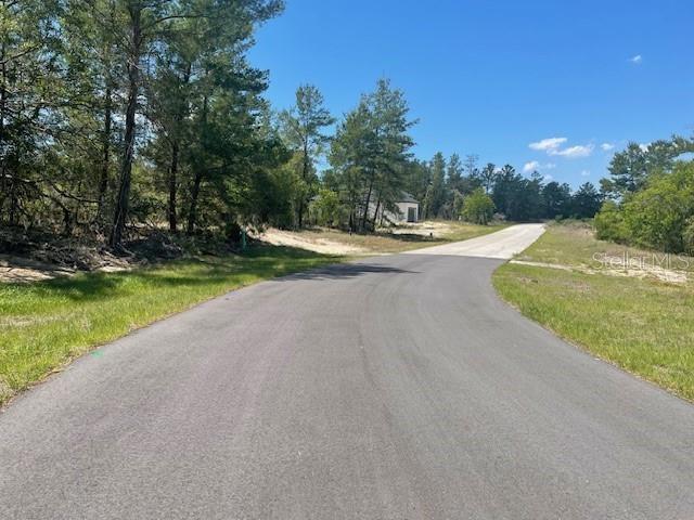 1342 HOMOSASSA DR, POINCIANA, FL, 34759