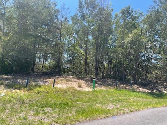 1342 HOMOSASSA DR, POINCIANA, FL, 34759