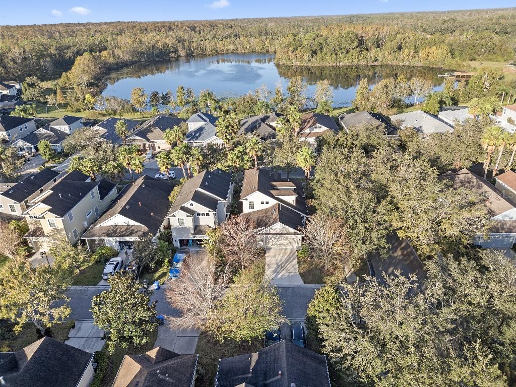 20121 BENDING CREEK PL, TAMPA, FL, 33647