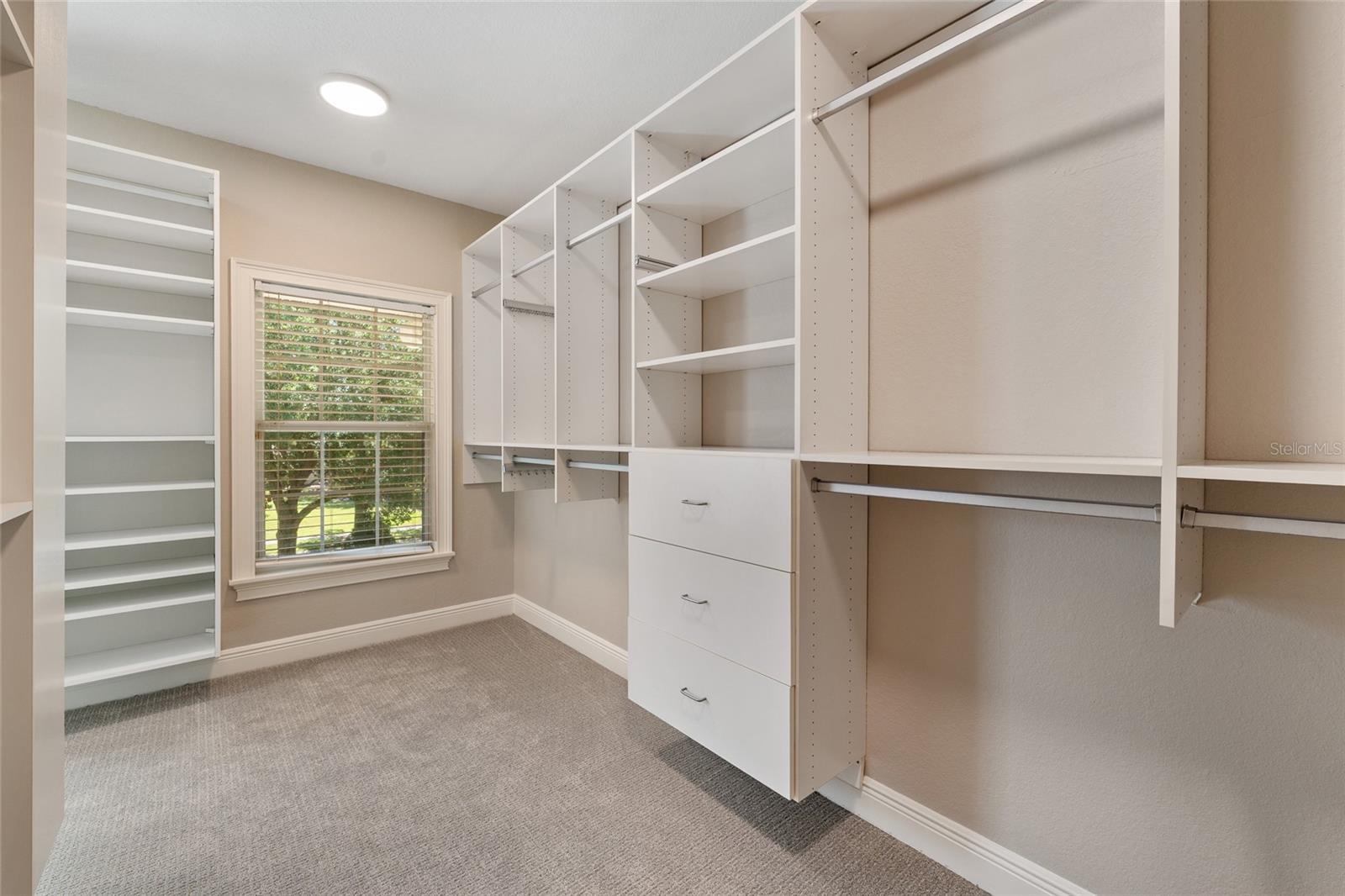 6036 GREATWATER DR, WINDERMERE, FL, 34786