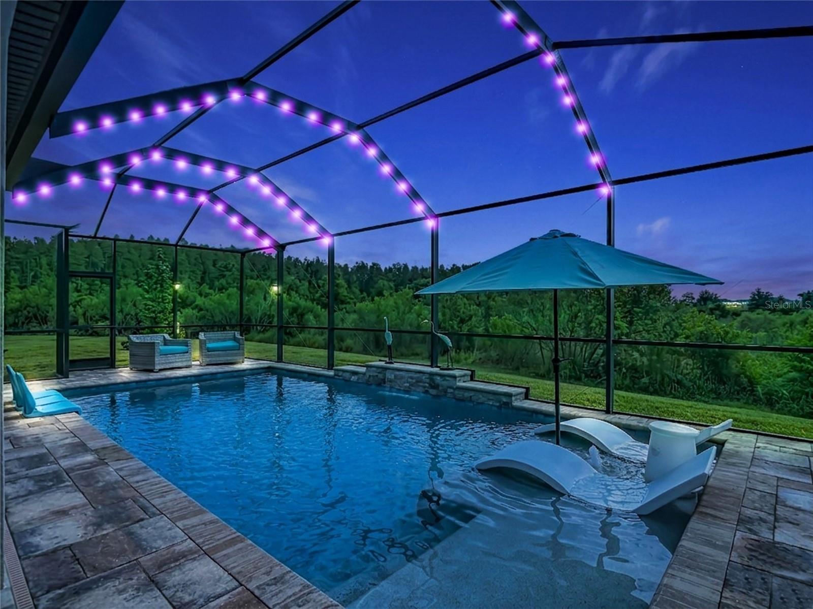 7508 POOL COMPASS LOOP, WESLEY CHAPEL, FL, 33545