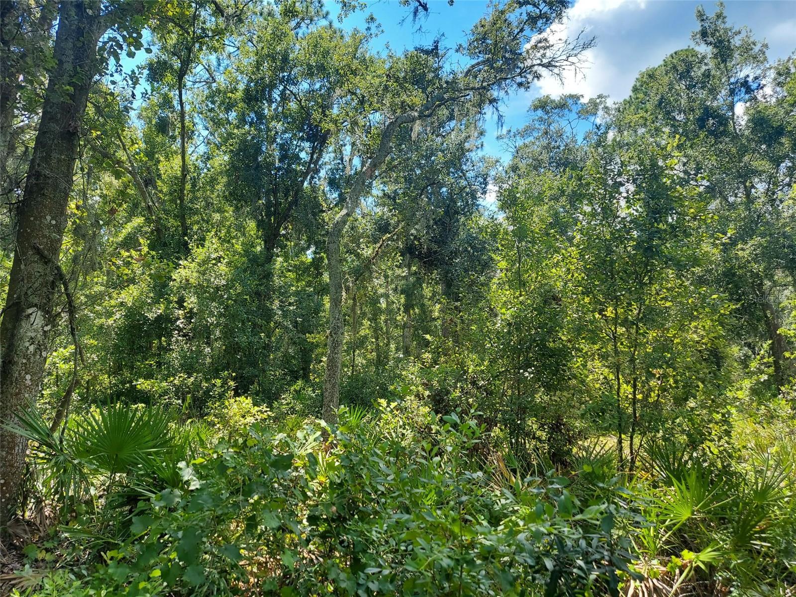 0 FINALLY RD, PLANT CITY, FL, 33565