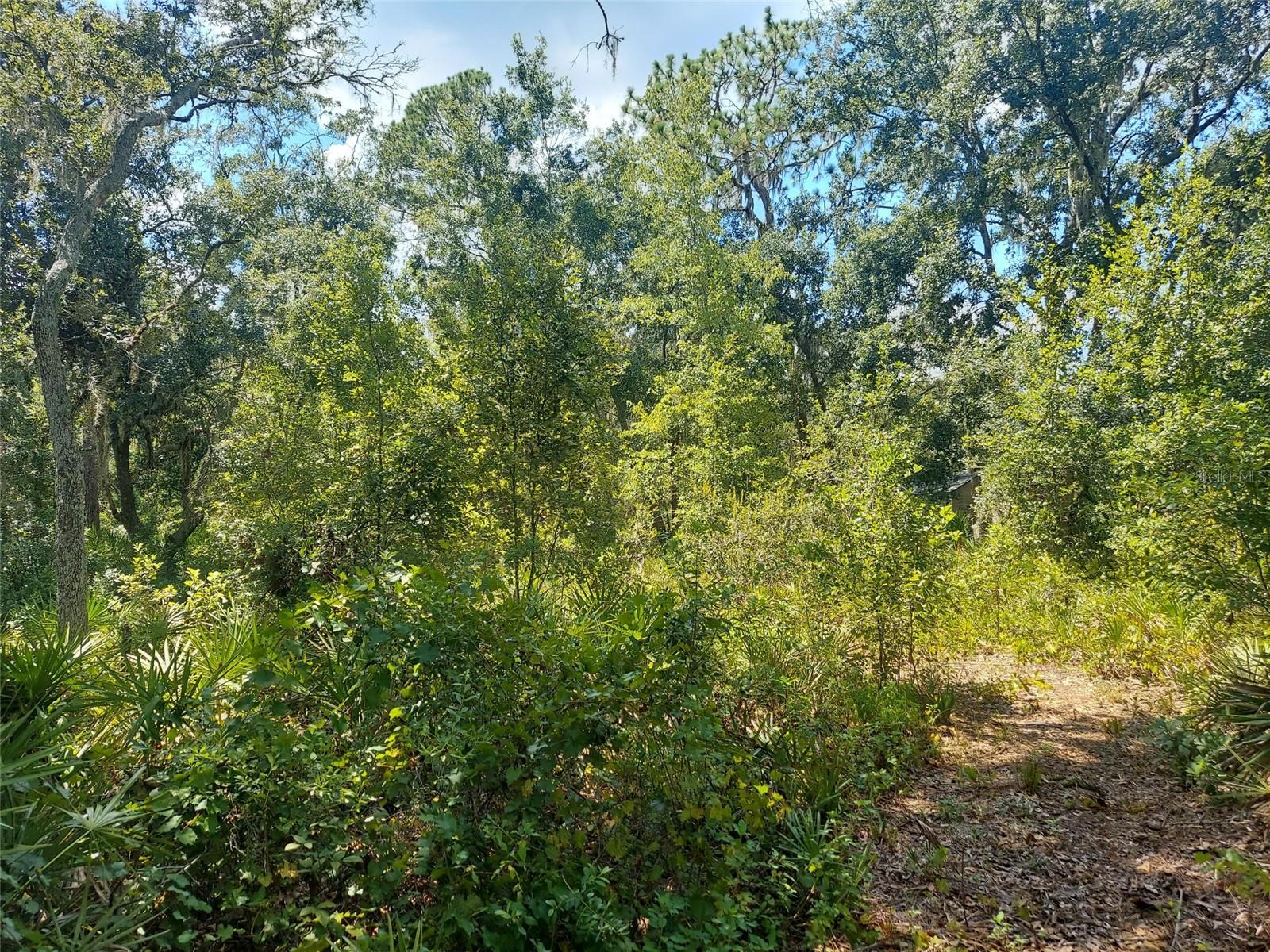 0 FINALLY RD, PLANT CITY, FL, 33565