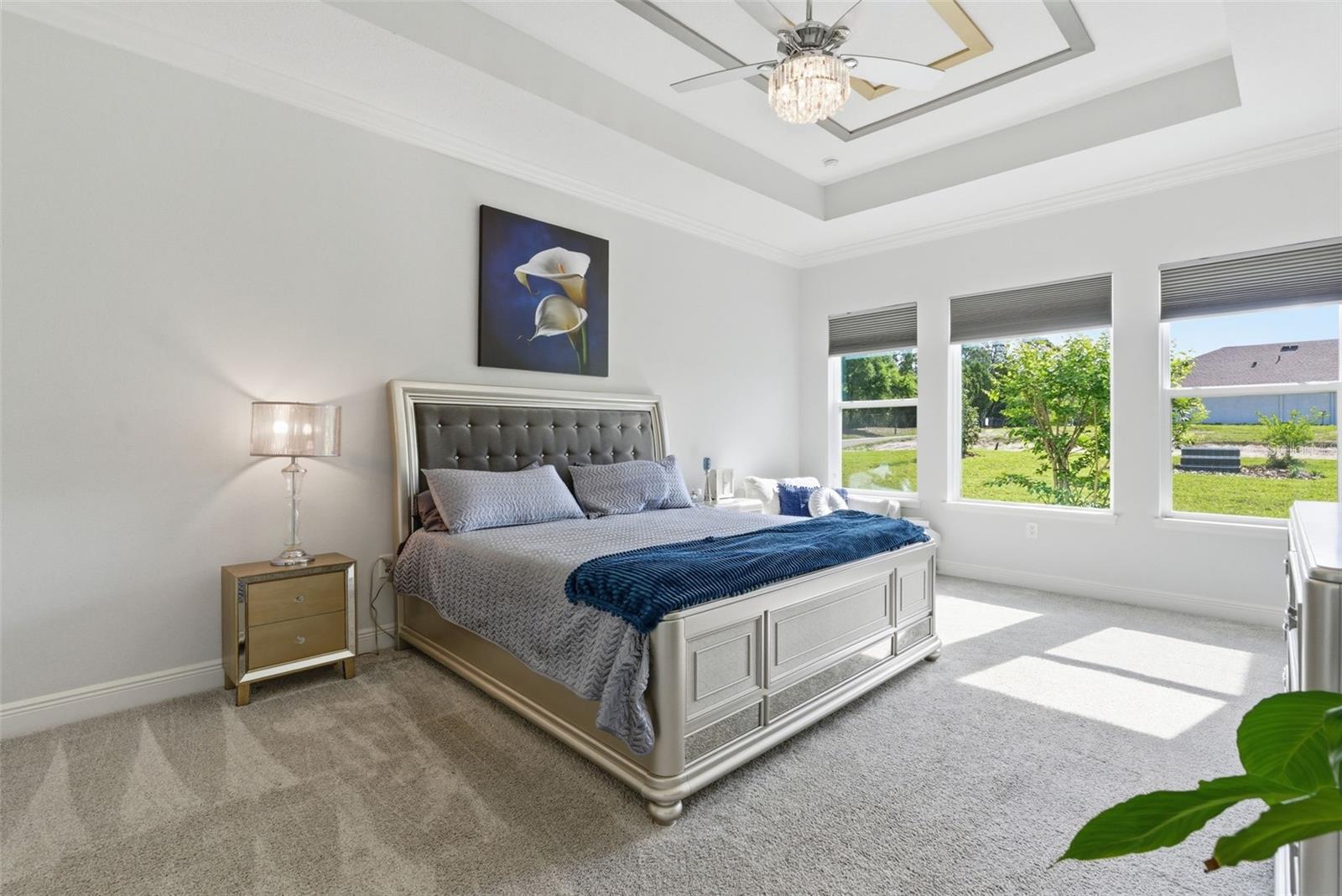 13444 TRAILING MOSS DR, DADE CITY, FL, 33525