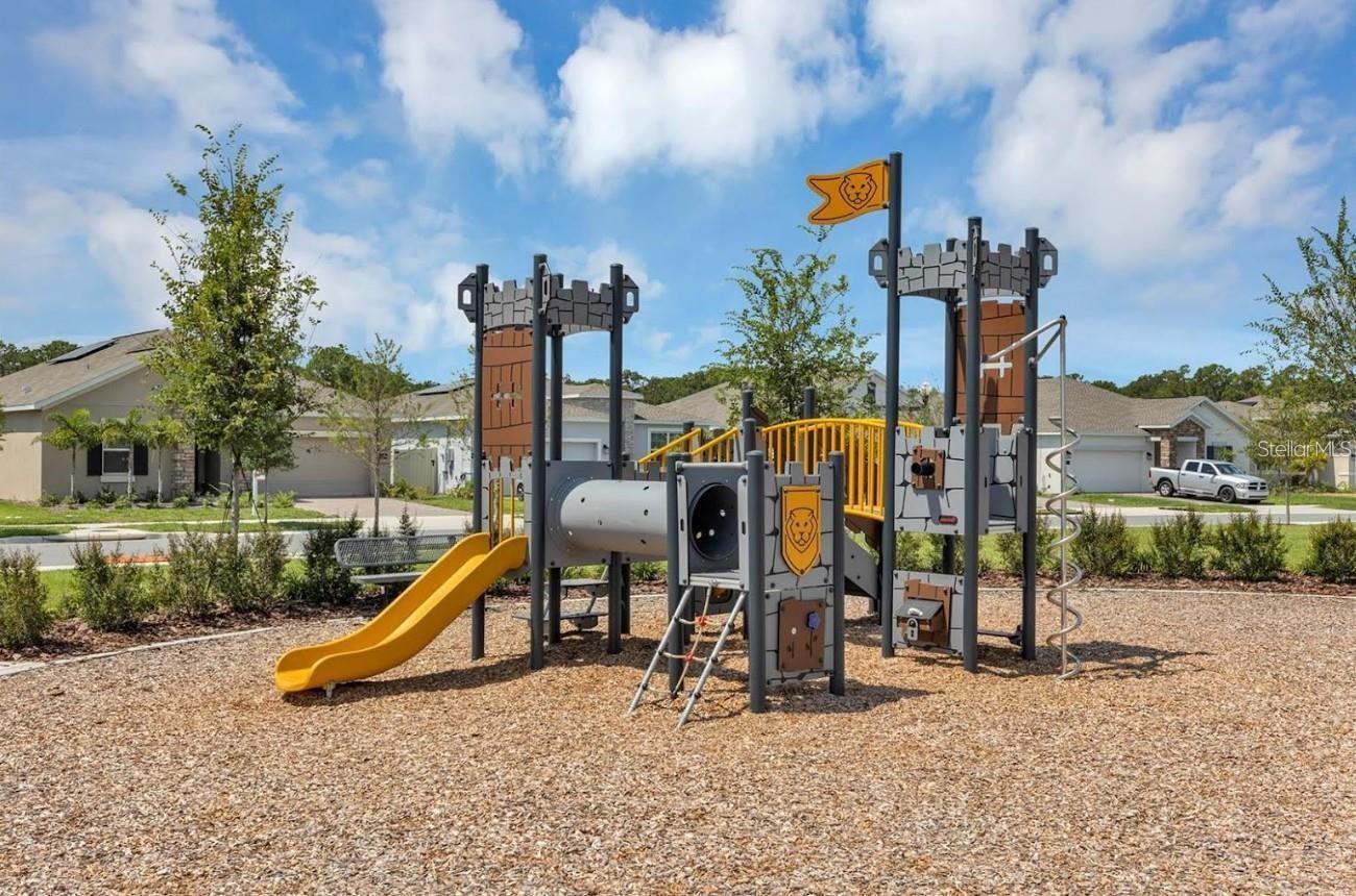 2337 TREASURE HILL ST, MINNEOLA, FL, 34715