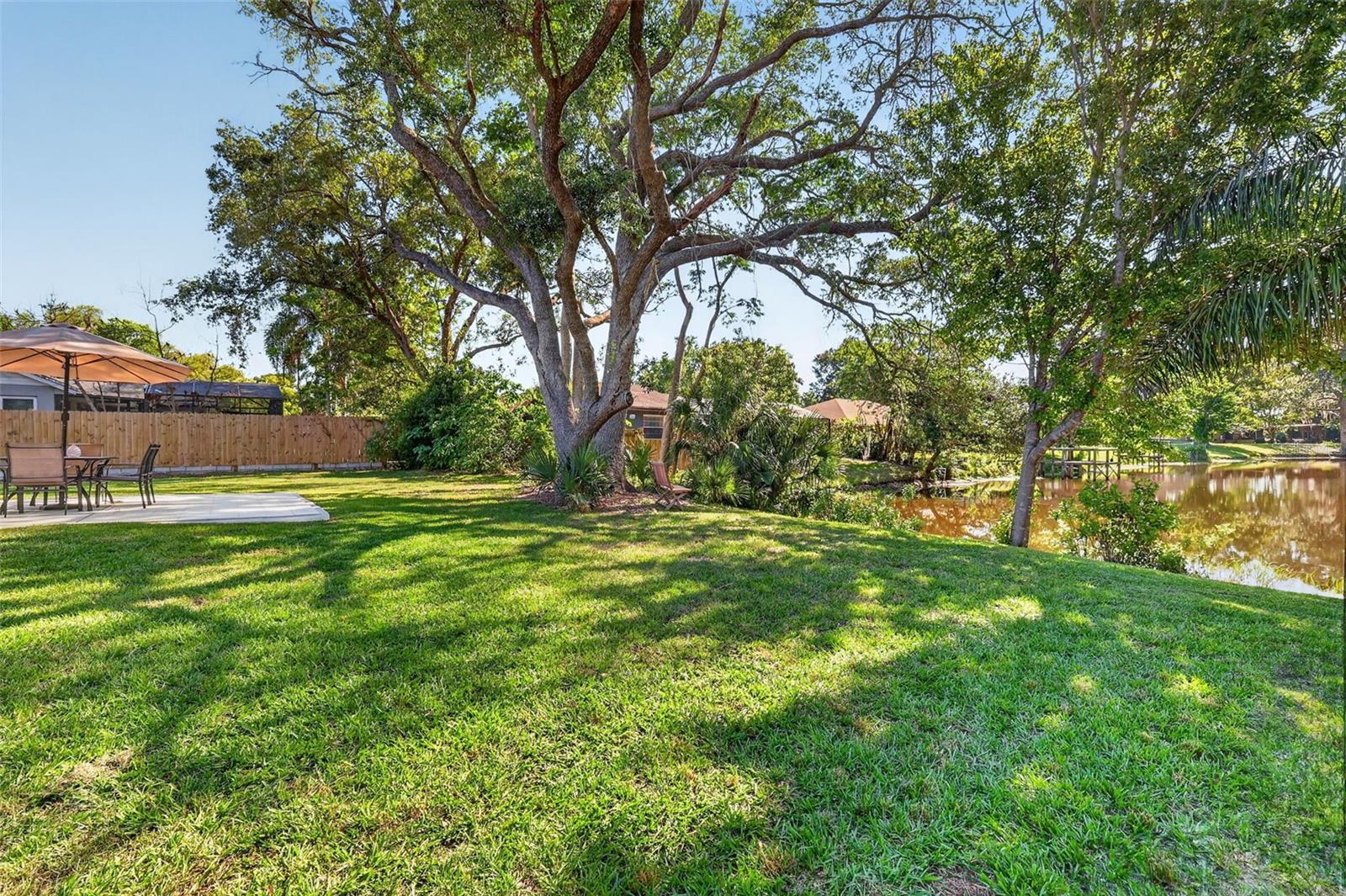 335 VINCENT DR, MOUNT DORA, FL, 32757