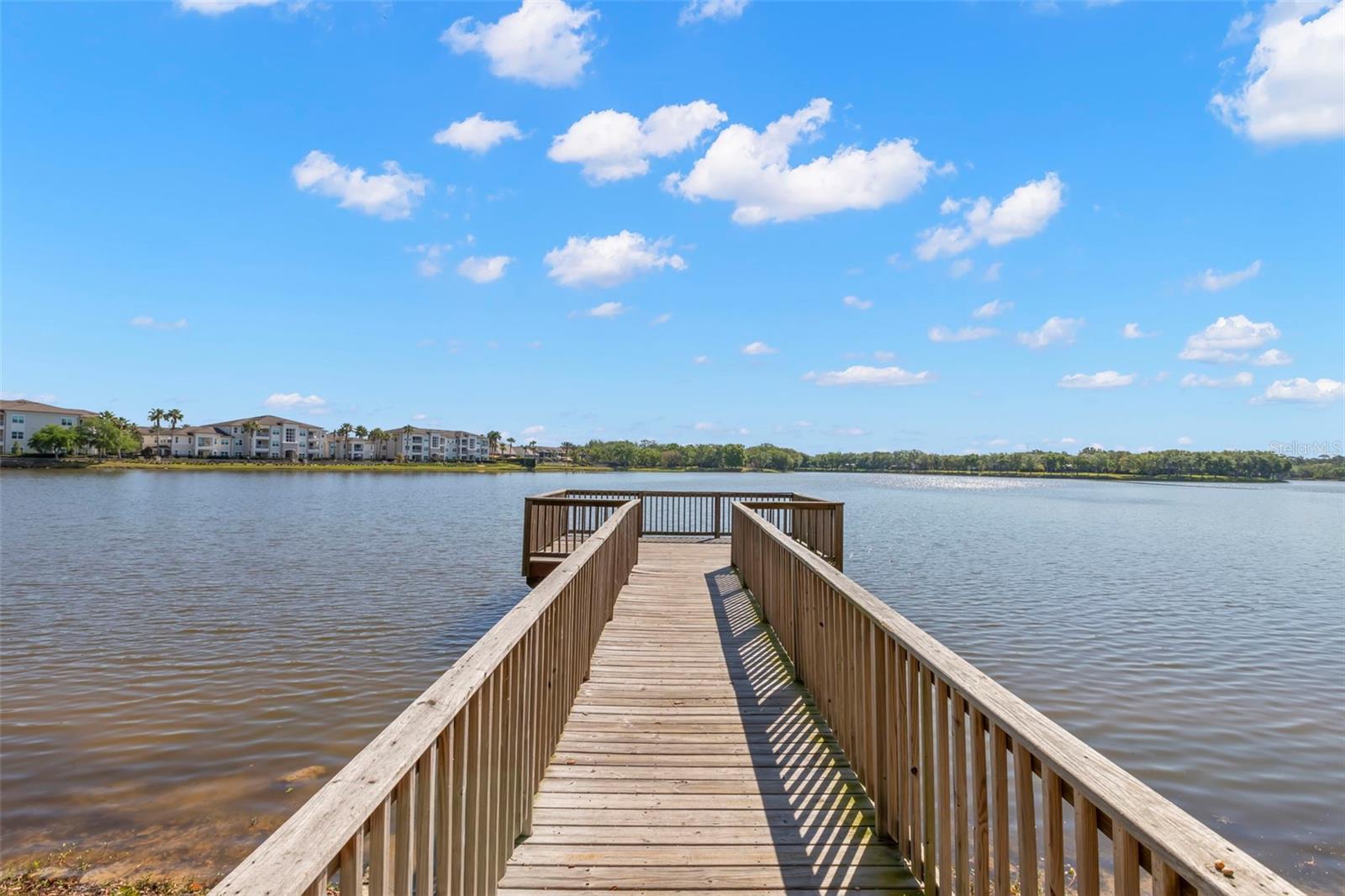 11732 CASA LAGO LN, TAMPA, FL, 33626