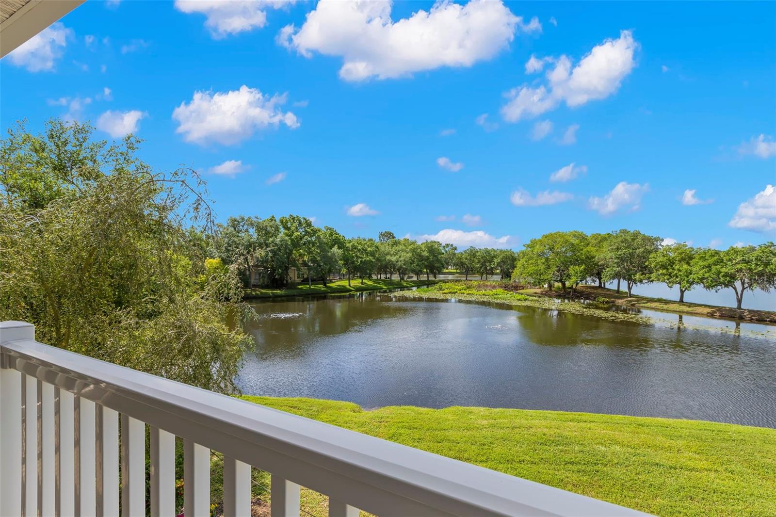 11732 CASA LAGO LN, TAMPA, FL, 33626