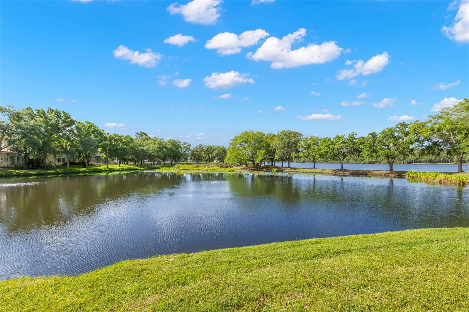 11732 CASA LAGO LN, TAMPA, FL, 33626