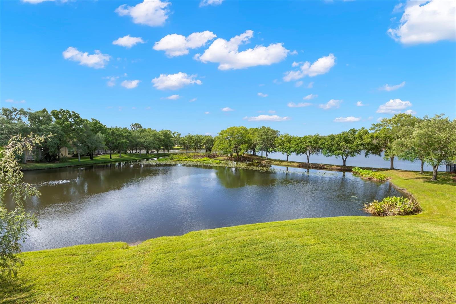 11732 CASA LAGO LN, TAMPA, FL, 33626