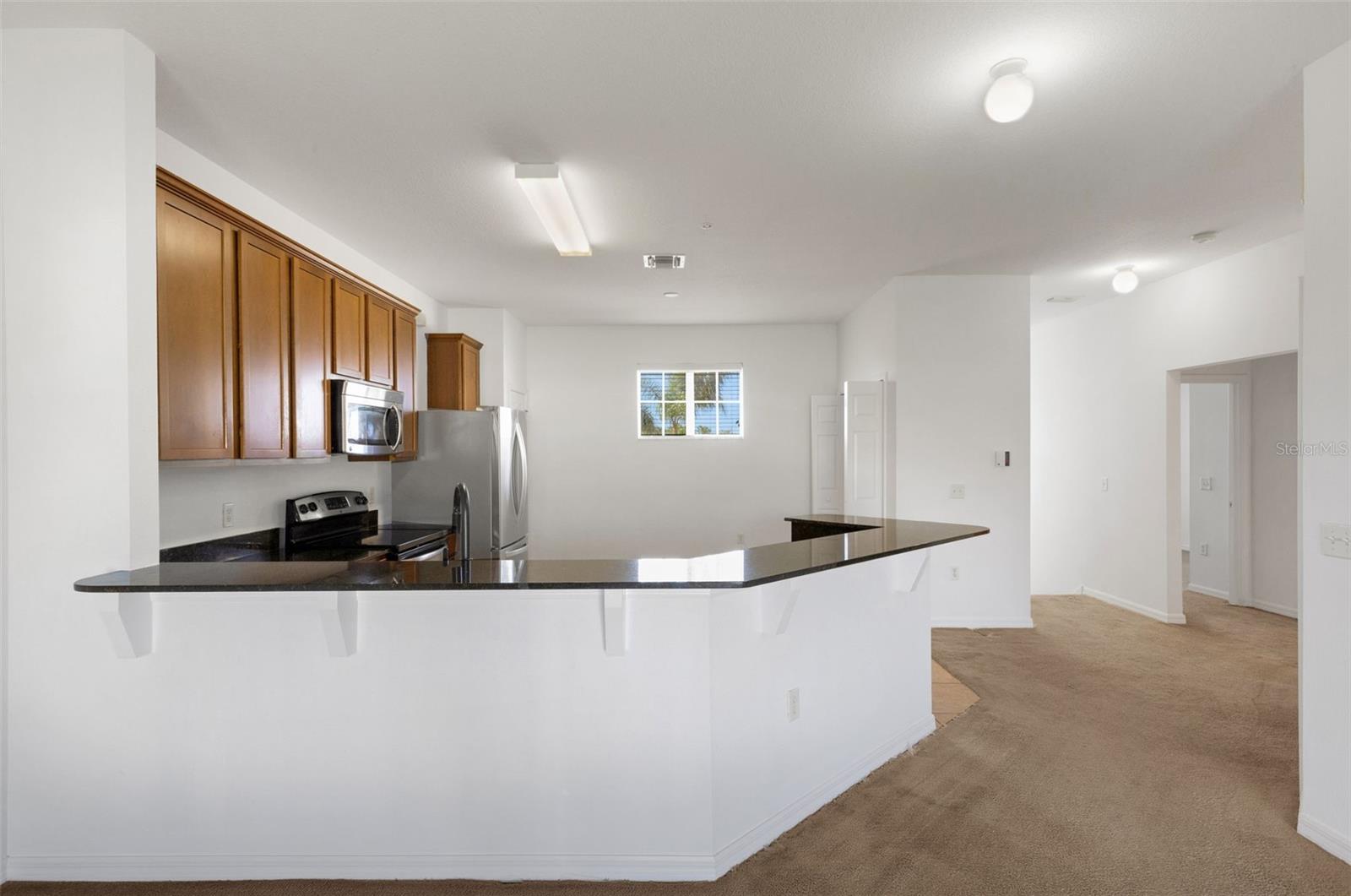 5328 MANG PL #1305, SARASOTA, FL, 34238