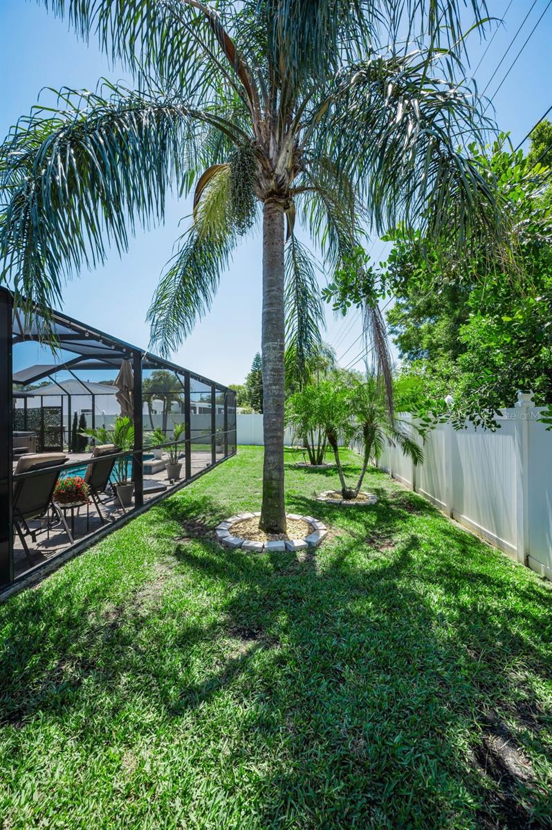 29752 69TH WAY N, CLEARWATER, FL, 33761