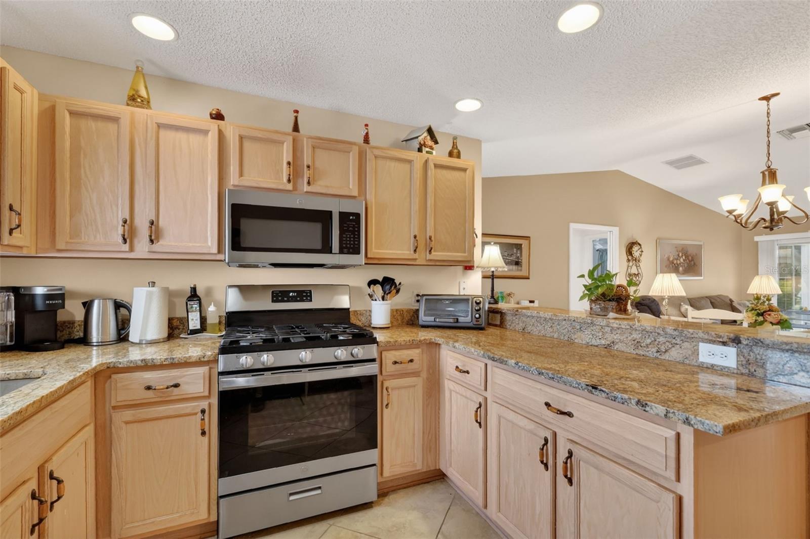 3406 JACONA PL, THE VILLAGES, FL, 32162