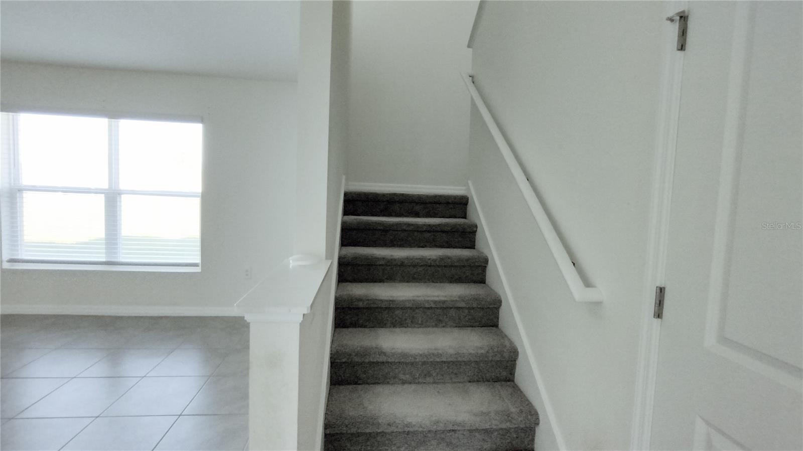 16702 CARLTON POND ST, WIMAUMA, FL, 33598