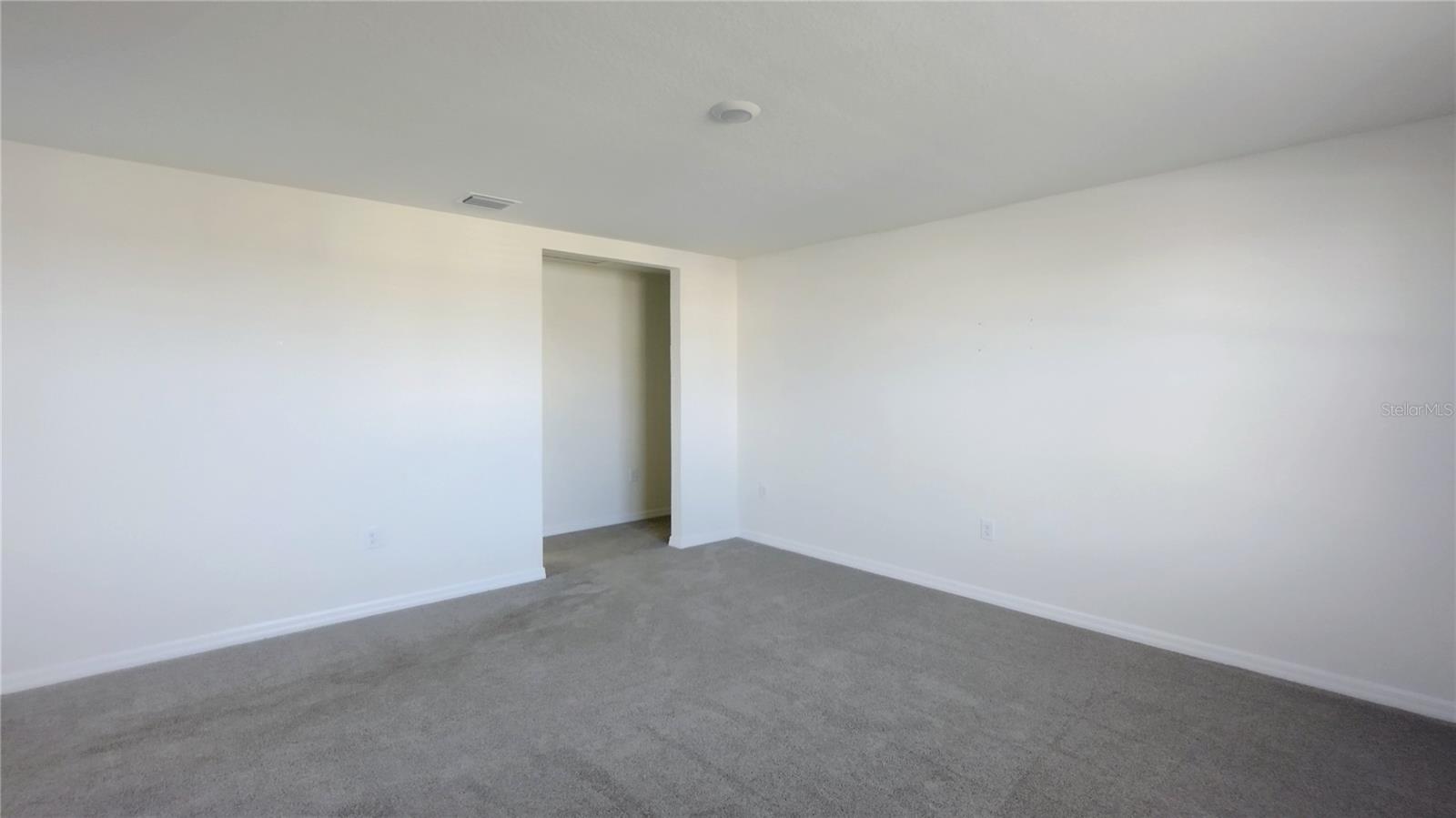 16702 CARLTON POND ST, WIMAUMA, FL, 33598