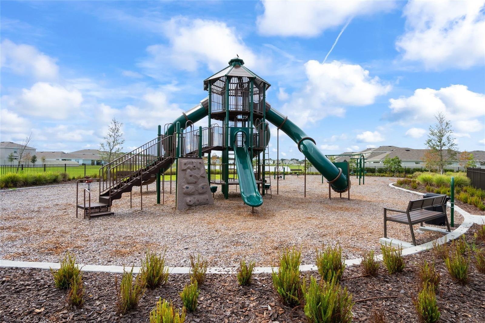 16702 CARLTON POND ST, WIMAUMA, FL, 33598