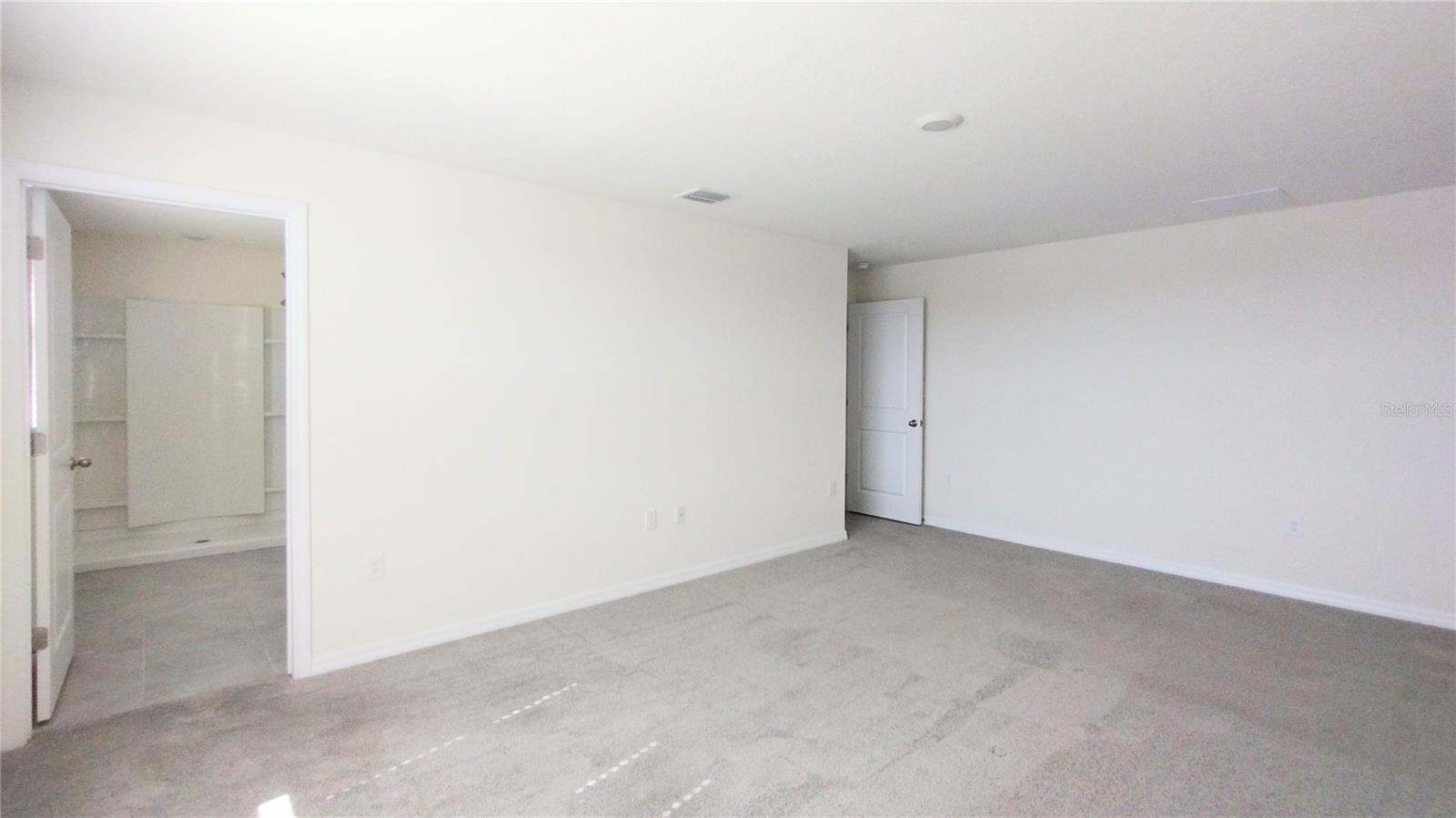 16702 CARLTON POND ST, WIMAUMA, FL, 33598