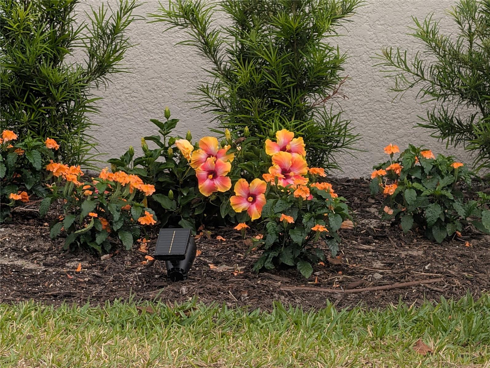 1724 LAKE RESERVE DR, DELAND, FL, 32724