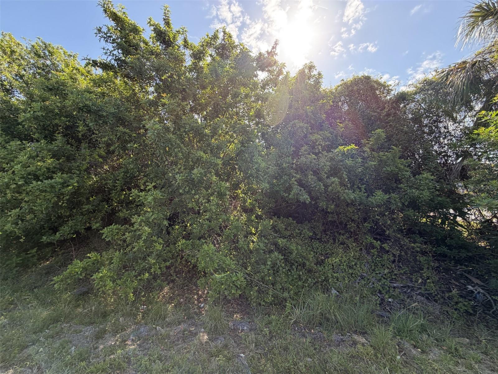 1352 ABALOM ST, PORT CHARLOTTE, FL, 33980