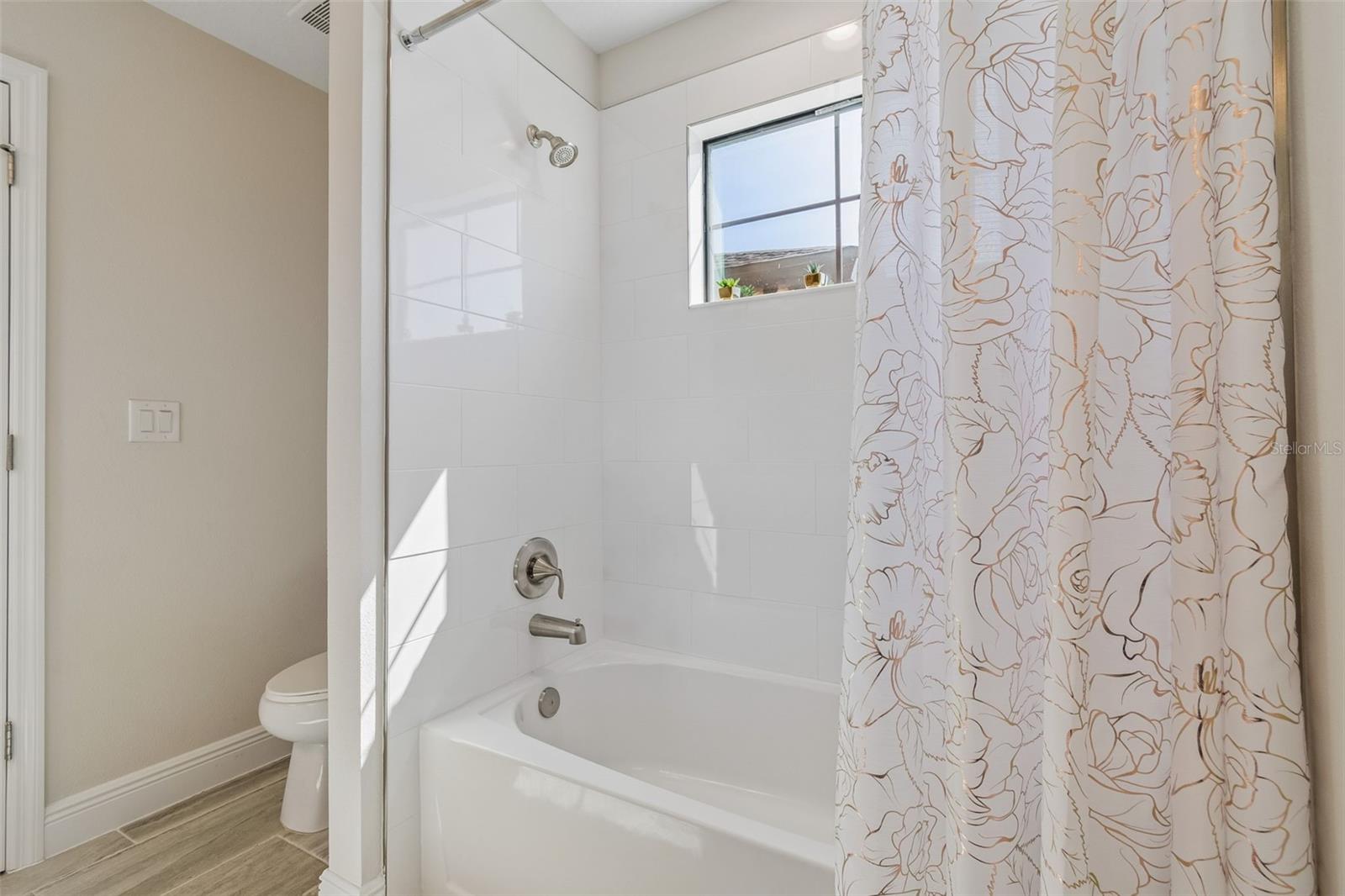 13154 TWIN BRIDGES DR, RIVERVIEW, FL, 33579