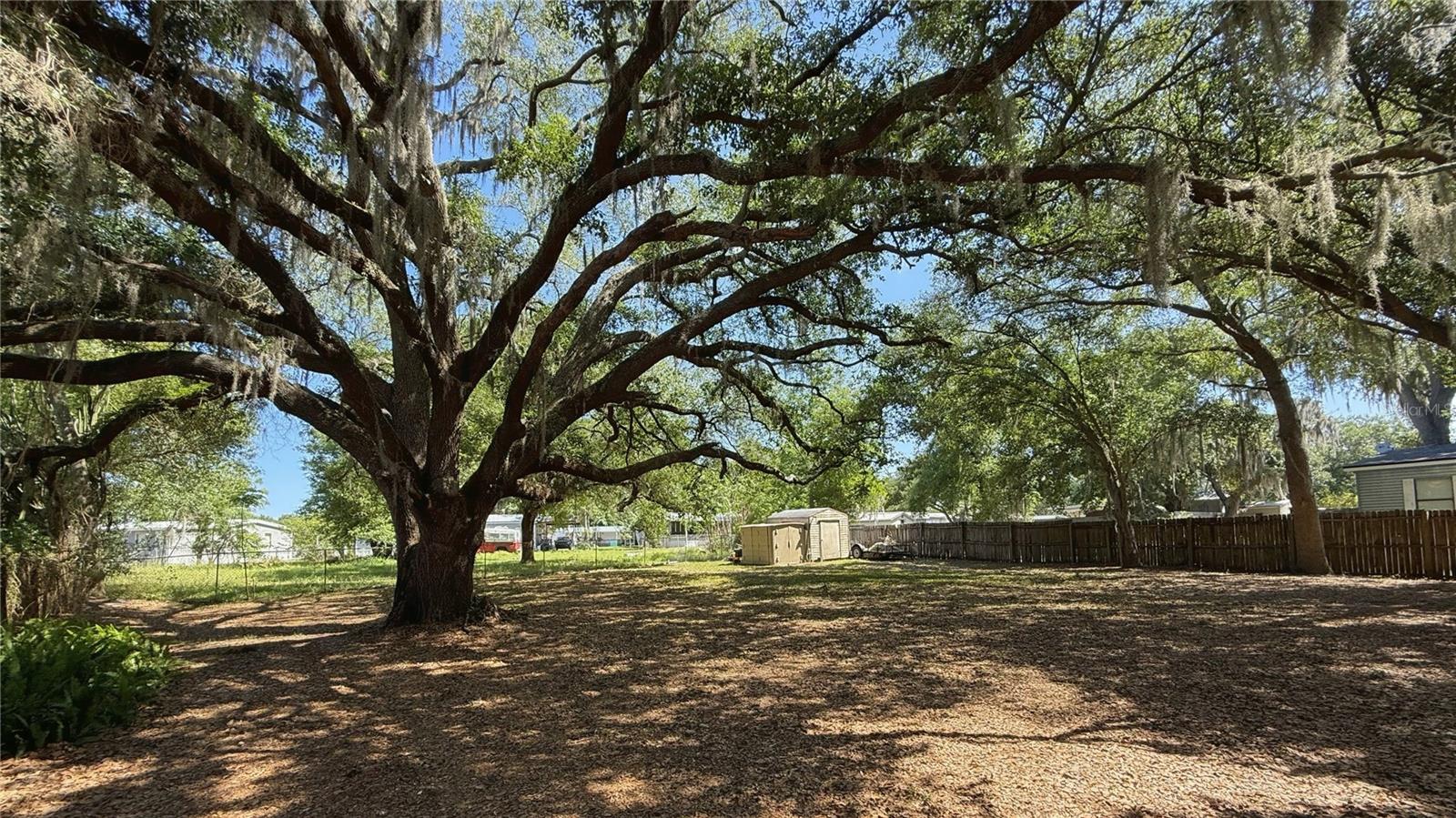 4817 ROLLINGLEN LOOP W, LAKELAND, FL, 33810