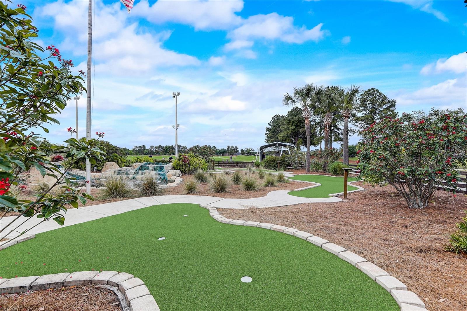 23338 DINHURST CT, LAND O LAKES, FL, 34639