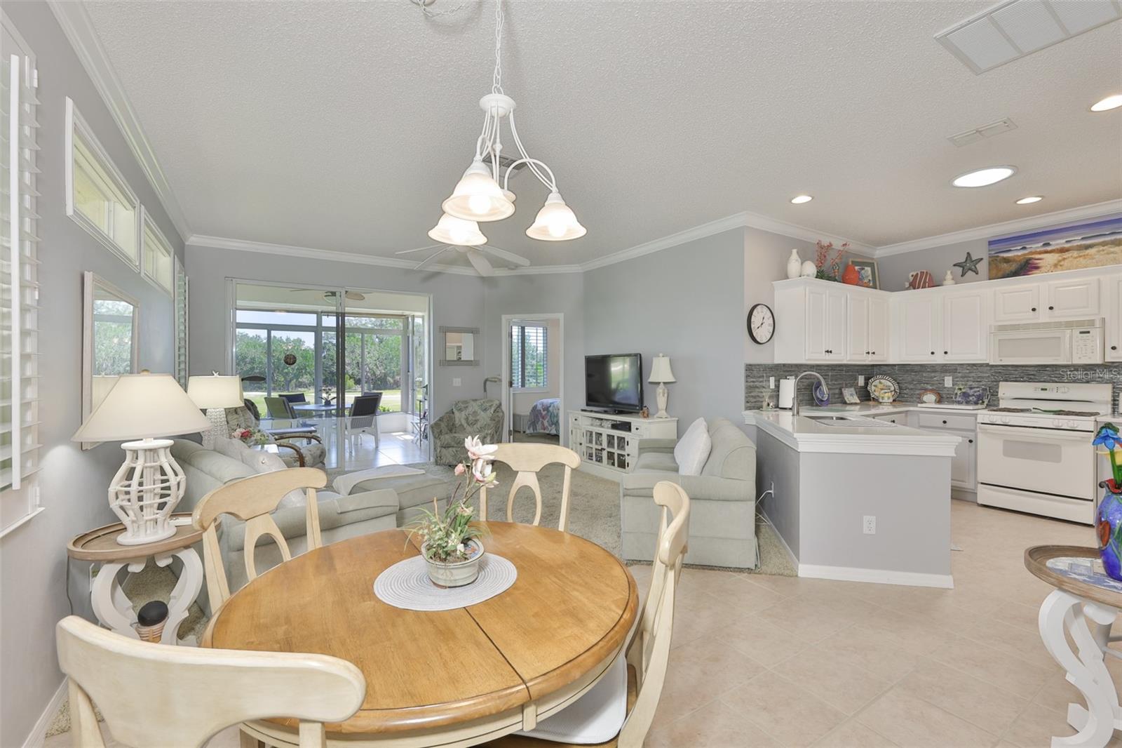 1205 FAIRWAY GREENS DR #58, SUN CITY CENTER, FL, 33573