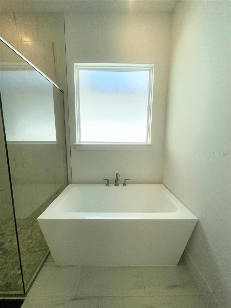 8486 IVY STARK BLVD, WESLEY CHAPEL, FL, 33545