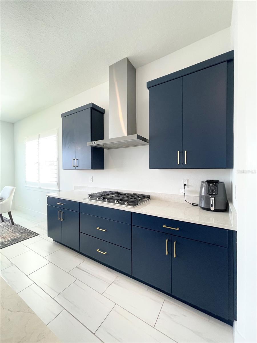 8486 IVY STARK BLVD, WESLEY CHAPEL, FL, 33545