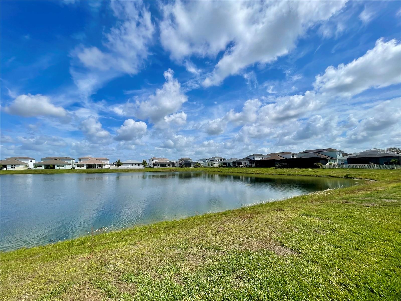 8486 IVY STARK BLVD, WESLEY CHAPEL, FL, 33545