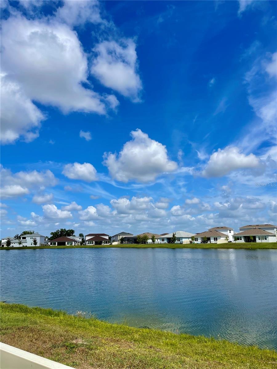 8486 IVY STARK BLVD, WESLEY CHAPEL, FL, 33545