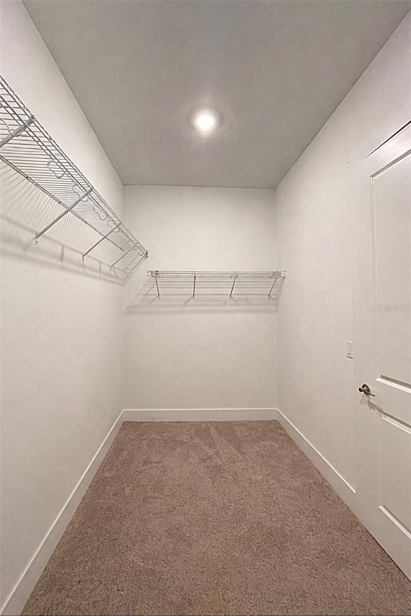 8486 IVY STARK BLVD, WESLEY CHAPEL, FL, 33545