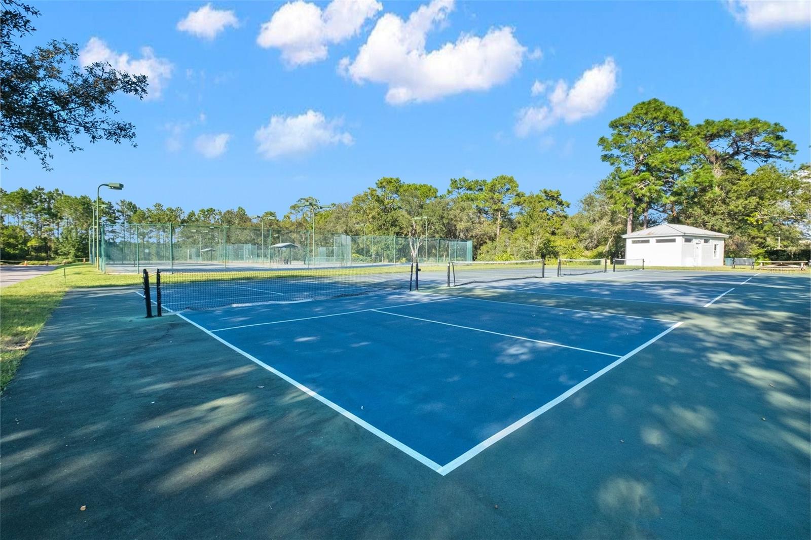 9131 RHETT LN, WEEKI WACHEE, FL, 34613