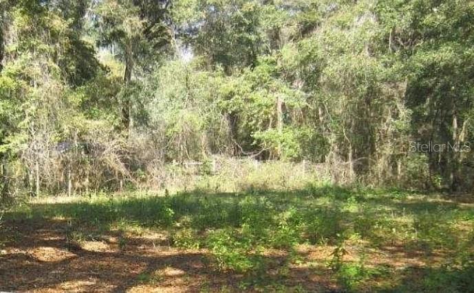 2285 NW 65TH PL, OCALA, FL, 34475