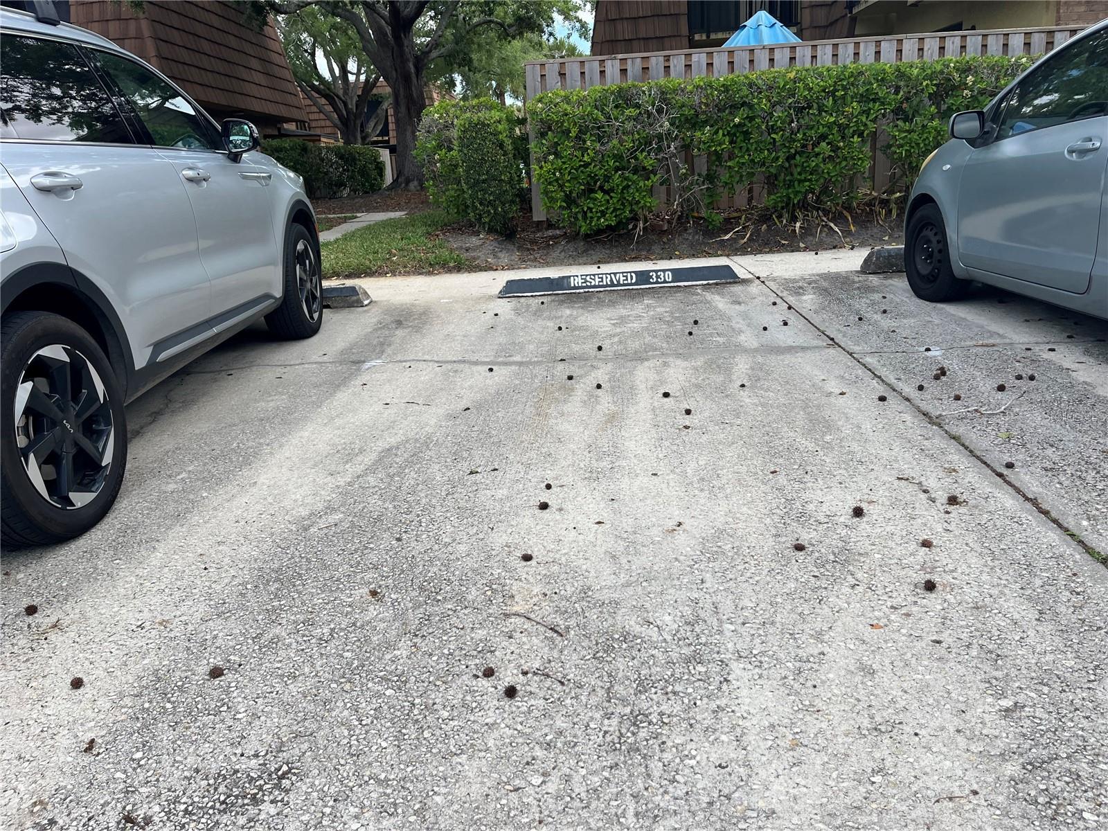 5361 ELM CT #330, ORLANDO, FL, 32811