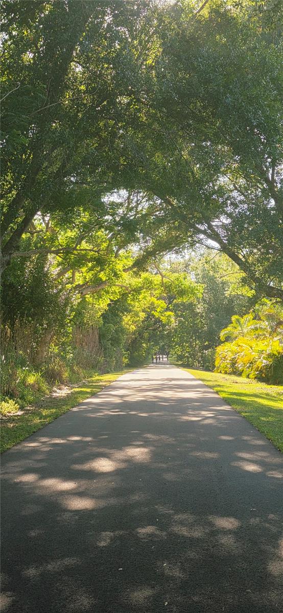 505 E GULLEY AVE, WINTER GARDEN, FL, 34787