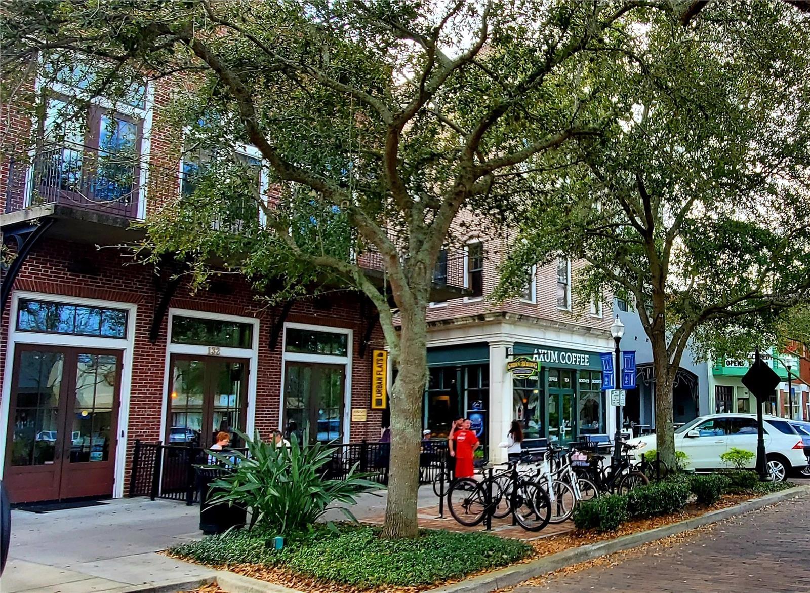 505 E GULLEY AVE, WINTER GARDEN, FL, 34787