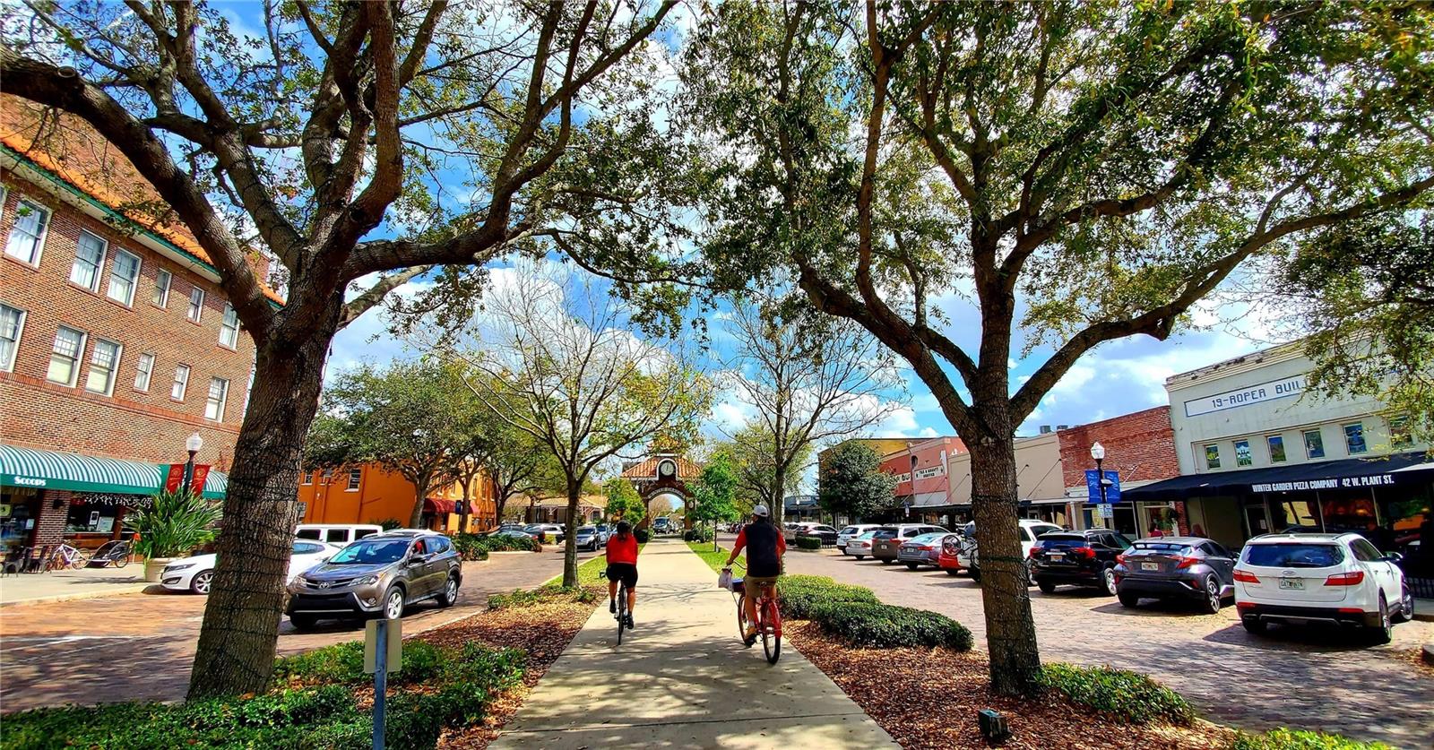 505 E GULLEY AVE, WINTER GARDEN, FL, 34787